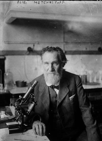 імунна система