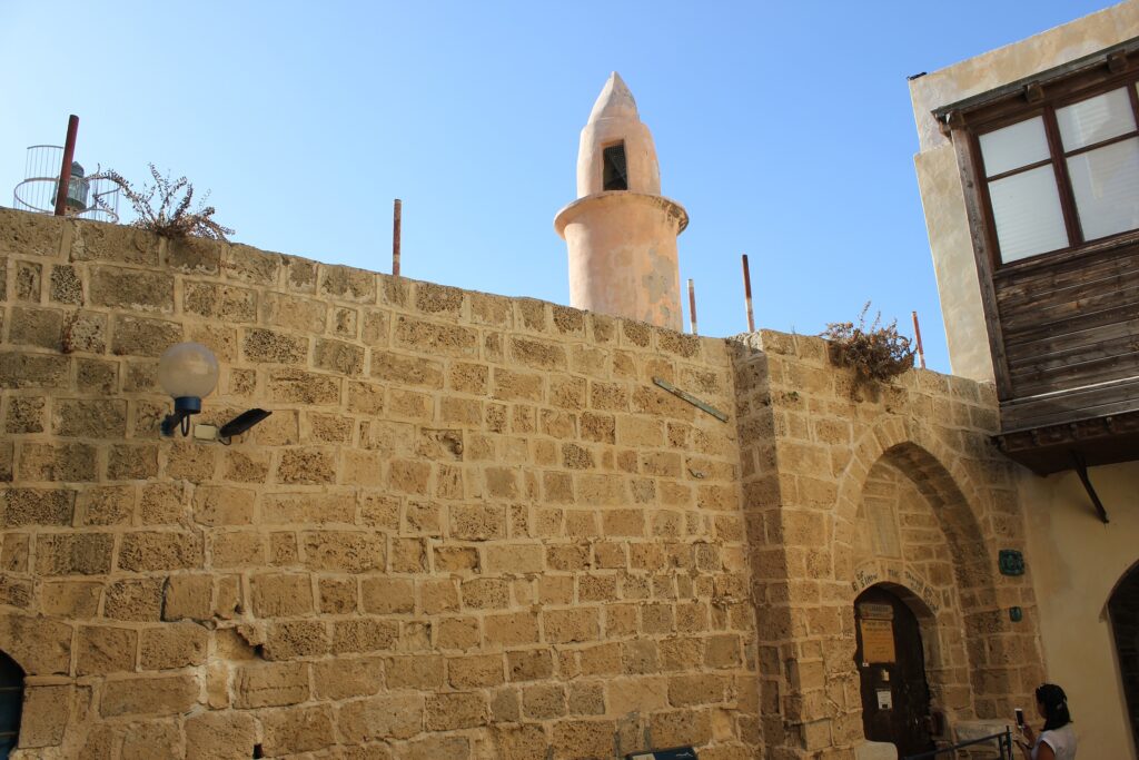 У кого зупинився апостол Петро в Іоппії й чому згадується ремесло цього чоловіка?