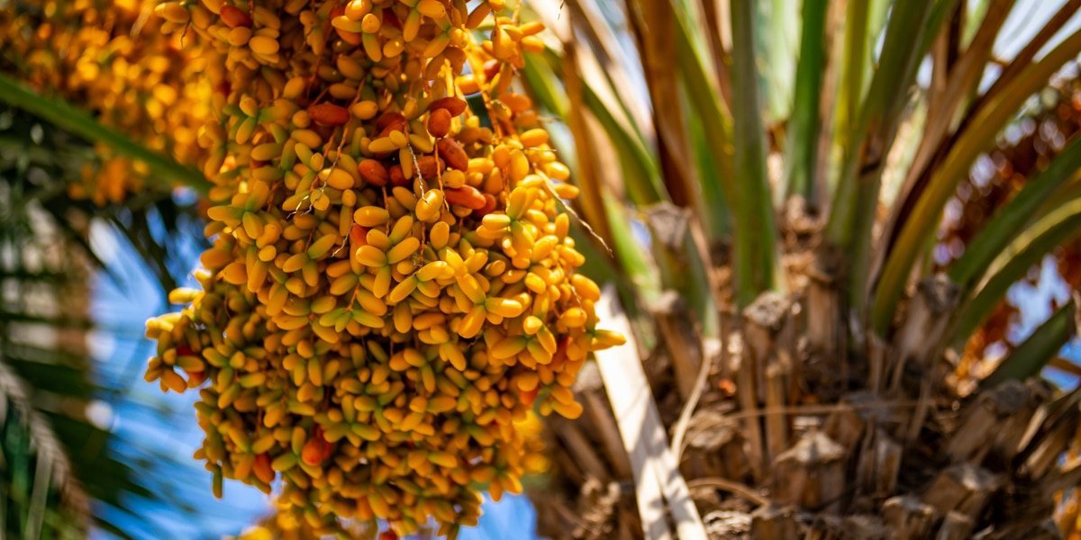 археологічні знахідки
