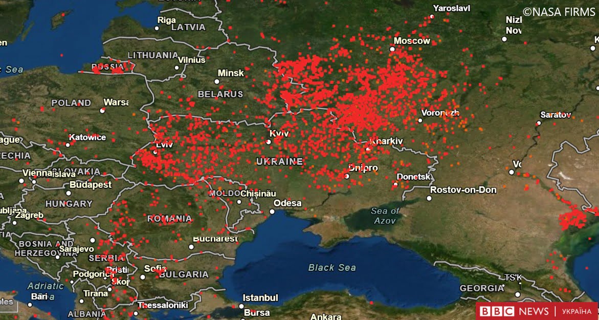 «Україна горить»: попри заборони, в країні підпалюють суху траву та листя – ДСНС