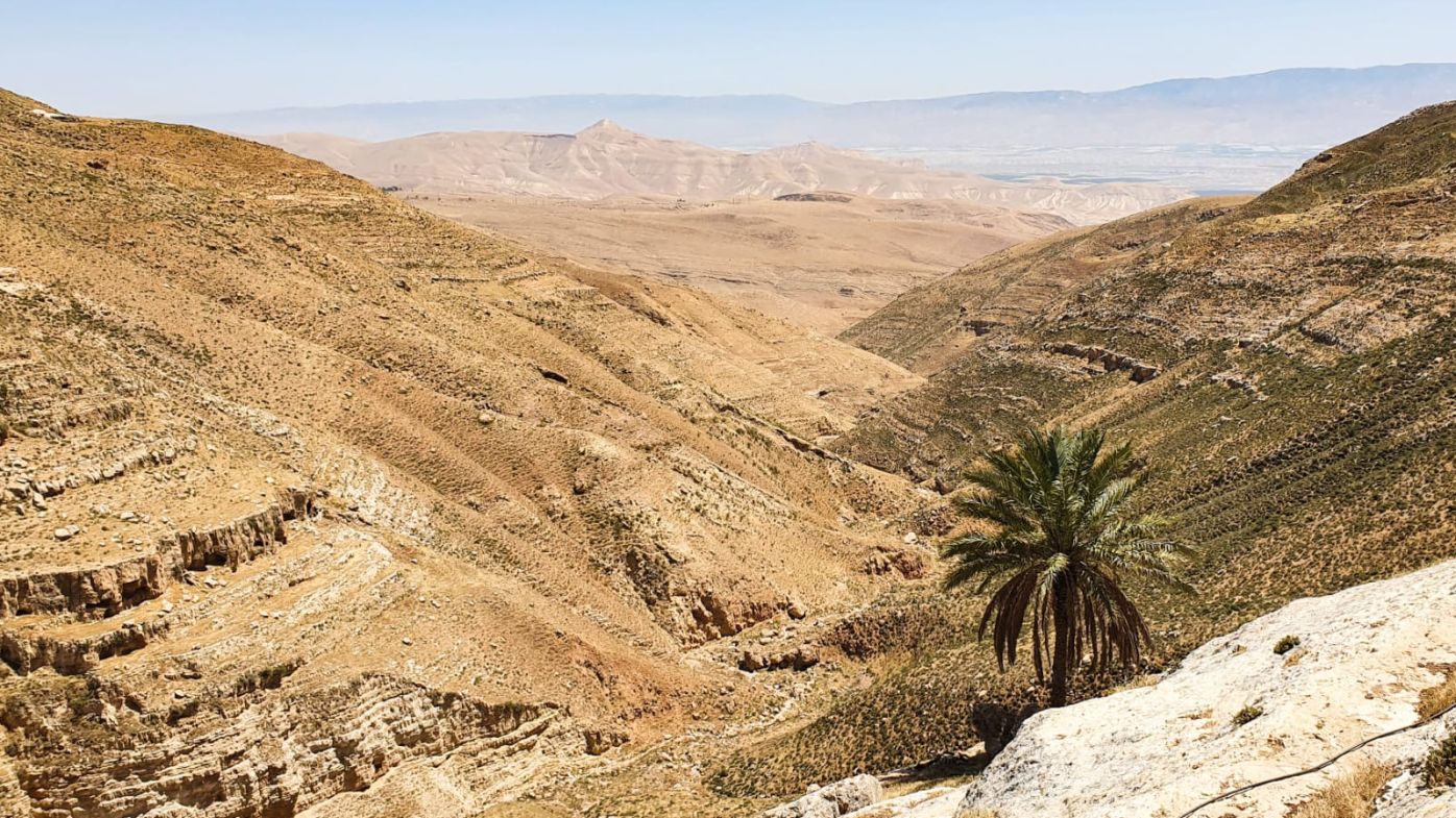 Монети «Свобода Сіона», датовані близько 70-го року, знайдені на Західному березі