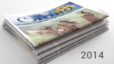 Слово про Слово