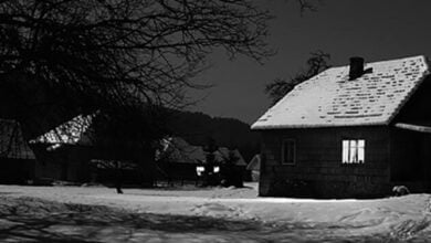 Різдвяна ніч