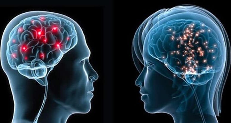 Мозок чоловіка та мозок жінки