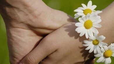 що таке шлюб