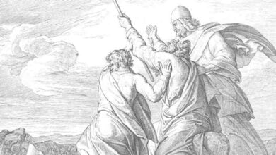 Український народ, війна