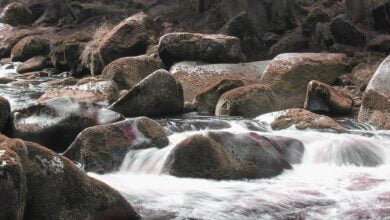 брили каміння