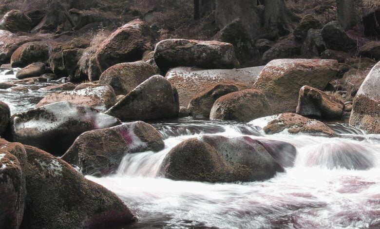 брили каміння