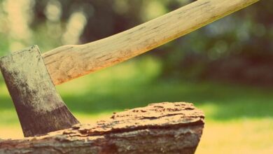 алкоголь, вино