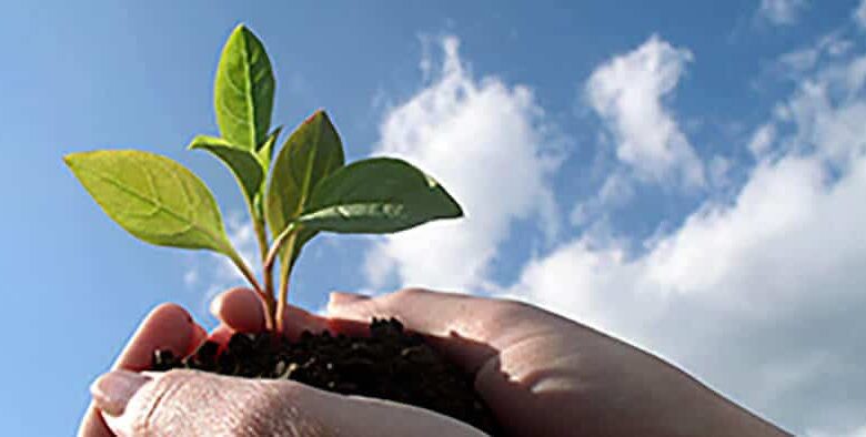 Що таке надія