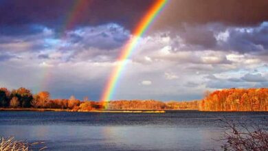 трагедія - час кризи