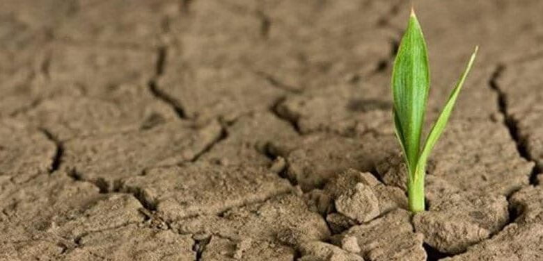 про надію - Надія є