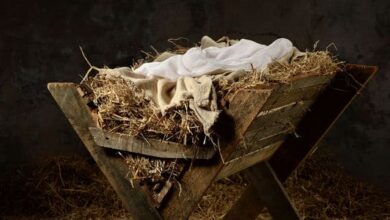 різдвяні дороги