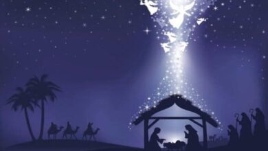 у різдвяну ніч