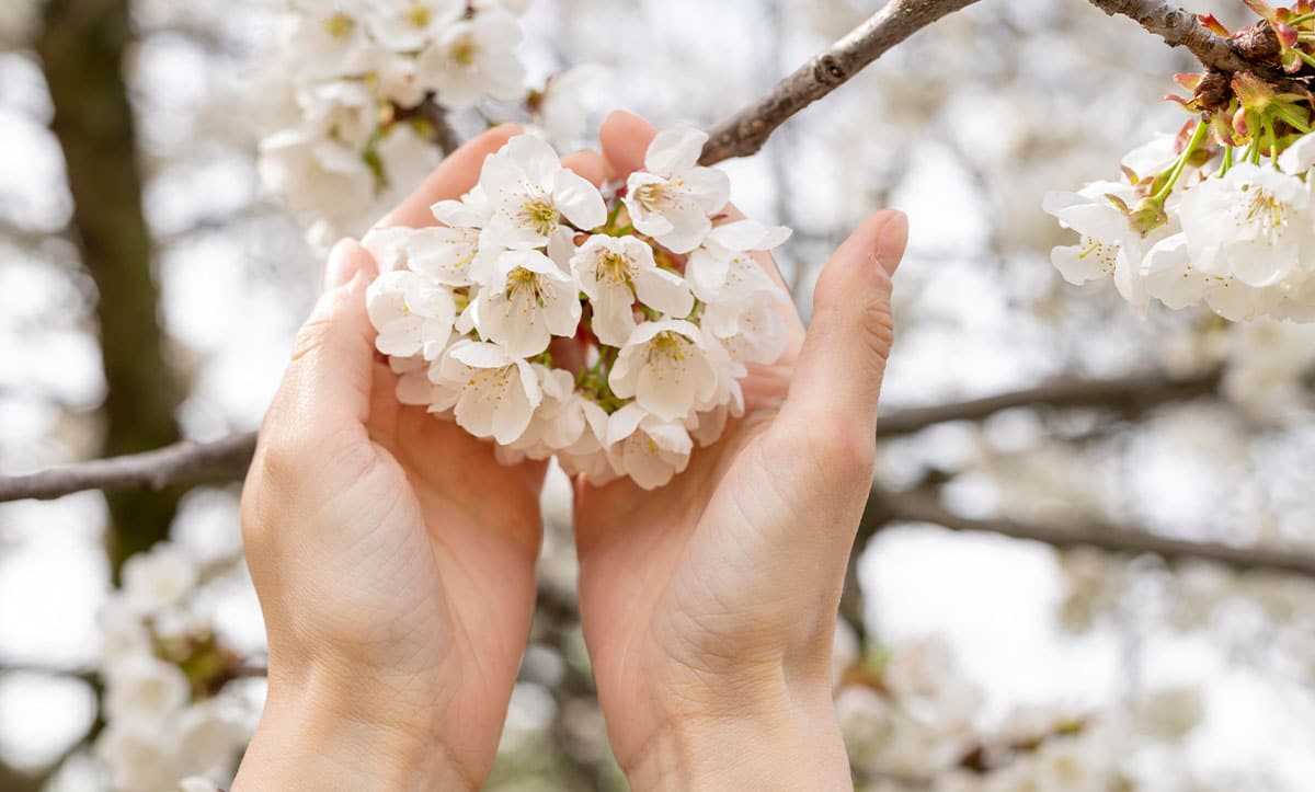 воскресіння