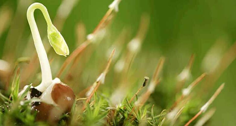 принципи волокнистої оптики