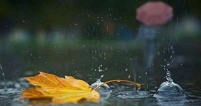 Несправедливість і справедливість