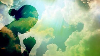 одностатеві шлюби