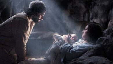 покладений у ясла