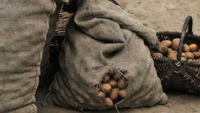 непрощення