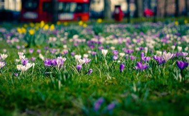 Воскресіння