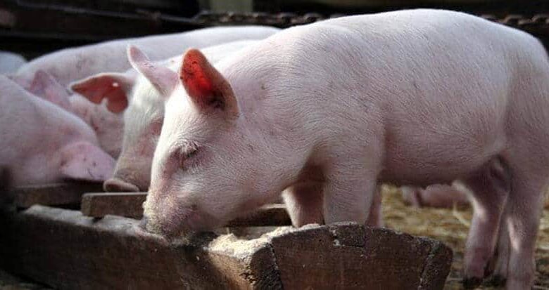 задоволення