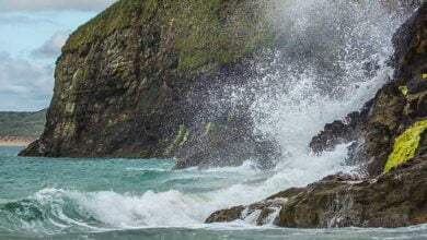 Хвиля і Безкид