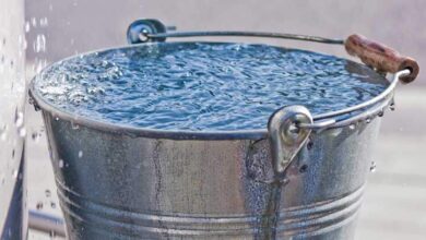 секрет їхнього миру