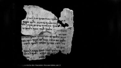 Знахідки археологів