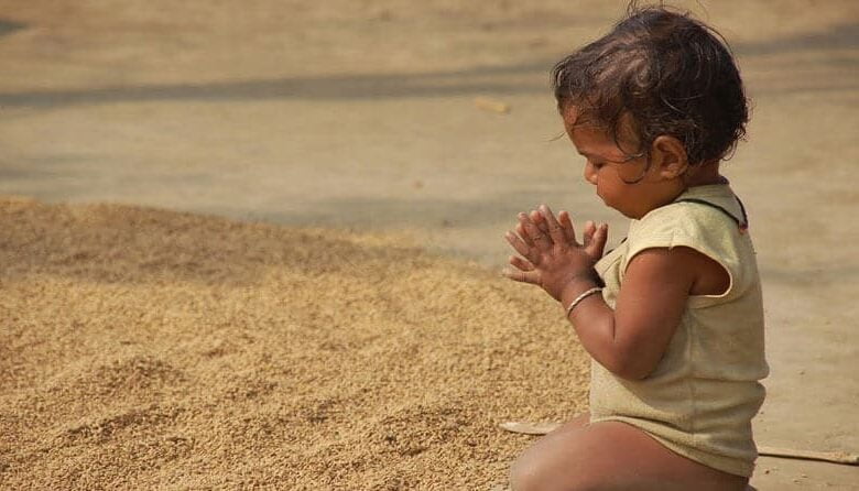 Щира вдячність