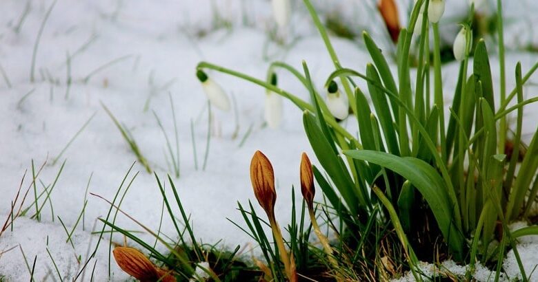 Хочу вірити