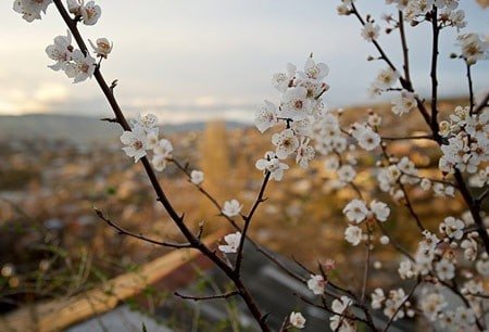 Христос Воскрес