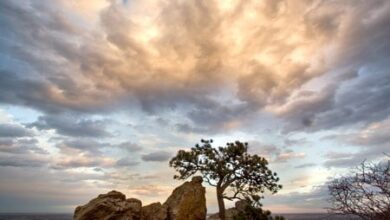 Воскресіння