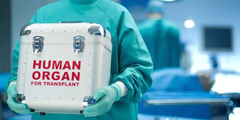 трансплантація