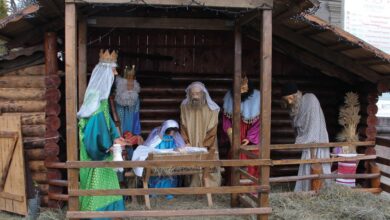 Різдво 25 грудня