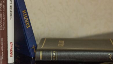 функціонування української мови