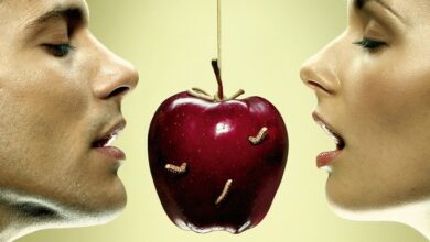 венеричні хвороби