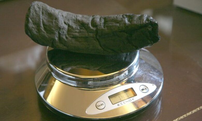 Обвуглені сувої