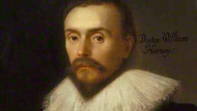 Вільям Гарвей William Garway