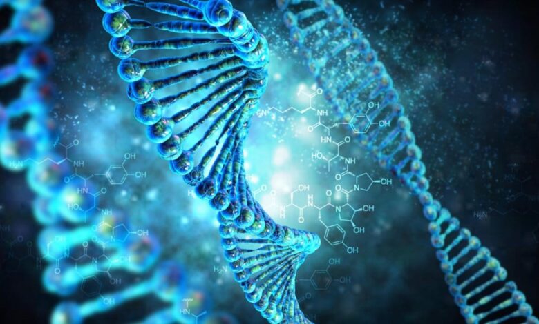 гомосексуалізм