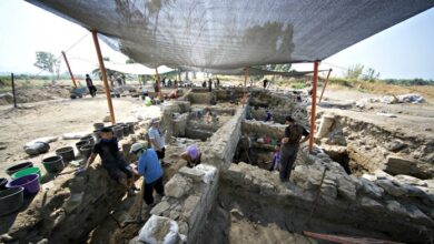 археологічні розкопки