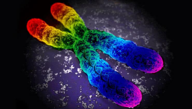 Геями не народжуються