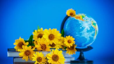 День Учителя