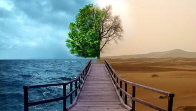 занепокоєння