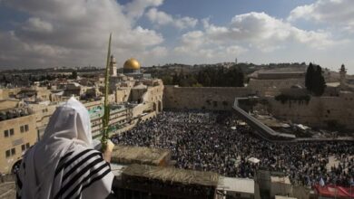 Свято кучок