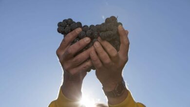 про вдячність