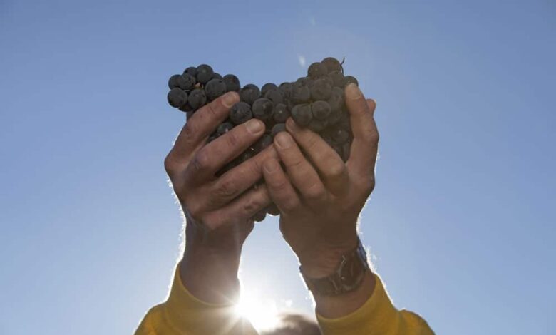 про вдячність