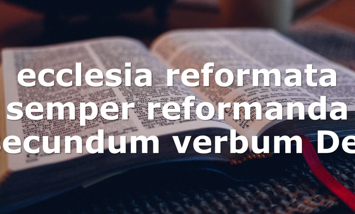 Реформація – це