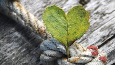 за що дякувати