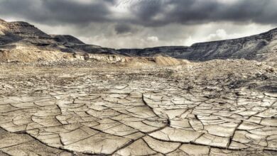 гріхопадіння людини